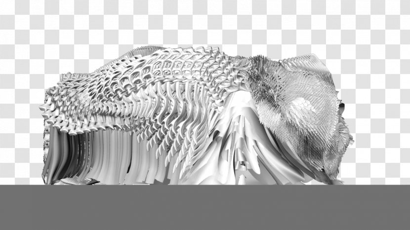 Monochrome Photography Organism Wildlife - Jaw Transparent PNG