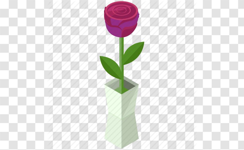 Beach Rose Icon - Rosaceae - Cartoon Transparent PNG