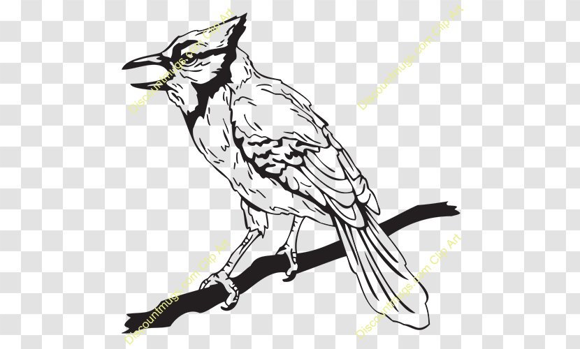 Clip Art Sketch Fauna Line Illustration - Bird - Jay Bhim Transparent PNG