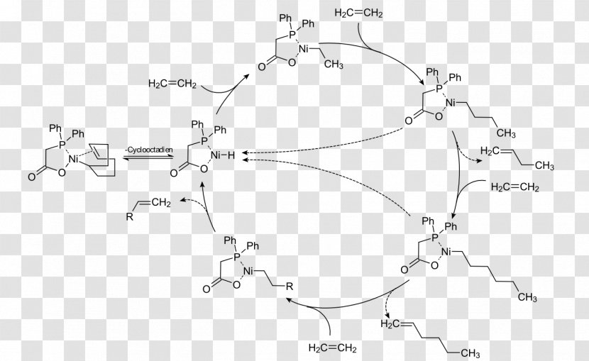 Shell Higher Olefin Process Alkene Alpha-olefin Linear Alpha Metathesis - Drawing - Area Transparent PNG