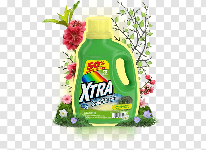 Laundry Detergent Xtra Spring Sunshine Liquid - Sentence With The Word Geography Transparent PNG