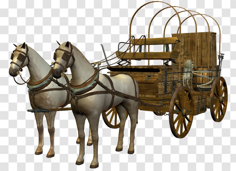 Horse-drawn Vehicle Carriage Chariot - Pack Animal - Yl Transparent PNG