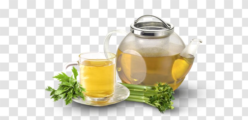 Flowering Tea Oolong Infusion Green - Yogi Transparent PNG
