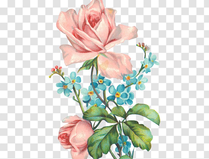 Bouquet Of Flowers Drawing - Flower - Magnolia Transparent PNG