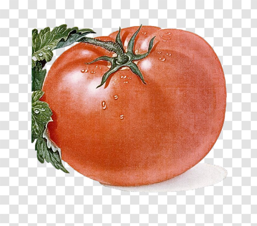 Tomato - Plum - Plant Orange Transparent PNG