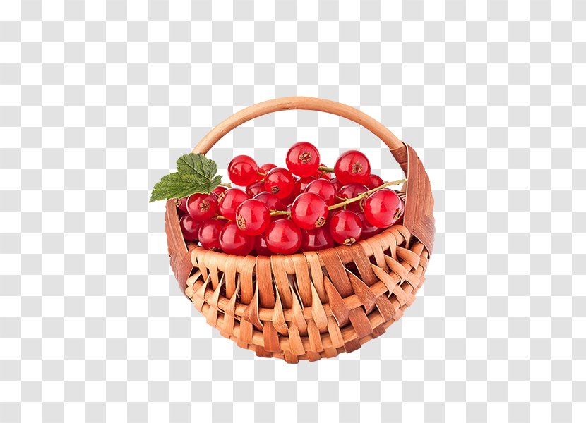 Redcurrant Fruit Cranberry Berries Illustration - Berry - Internet Element Transparent PNG
