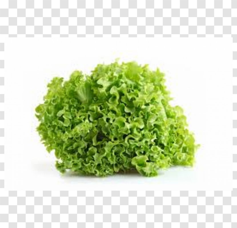 Organic Food Salad Vegetable Herb Transparent PNG