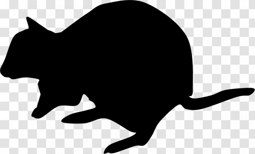 Whiskers Cat Dog Snout Clip Art - Like Mammal Transparent PNG