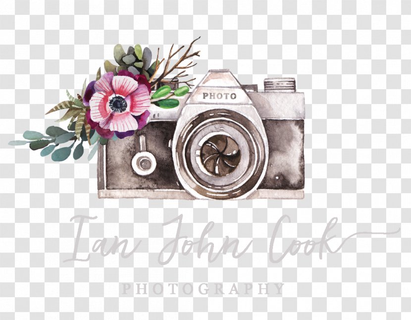 The Portrait Lady Photography Logo Photographer Photographic Studio Transparent PNG