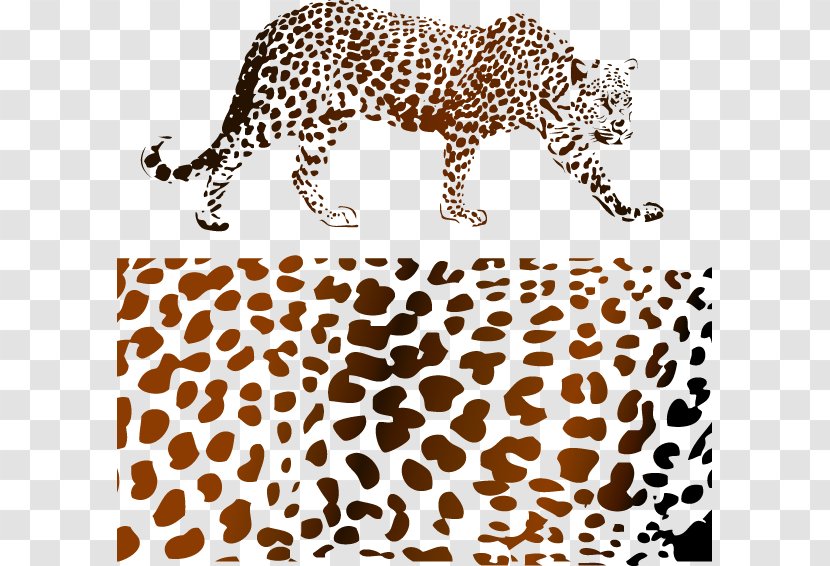 Leopard Felidae Cheetah Jaguar Lion - Leopard,leopard Transparent PNG