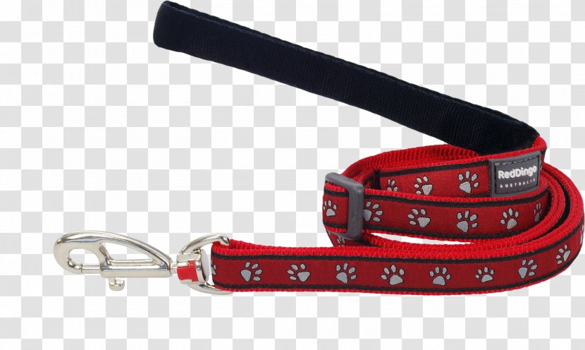 Leash Dog Dingo Cat Collar Transparent PNG