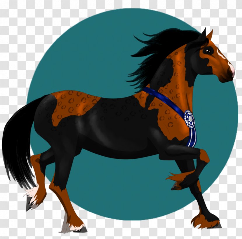 Mane Mustang Stallion Mare Pony - Rein - Sleepy Hollow Transparent PNG