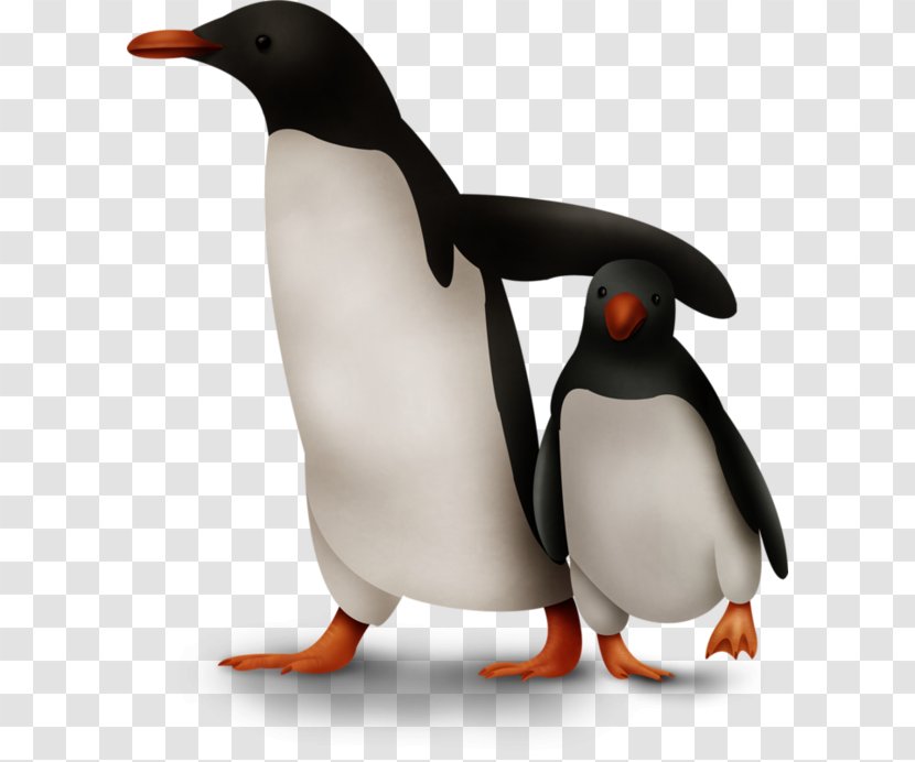 King Penguin Adobe Photoshop Alca - Rgb Color Model Transparent PNG