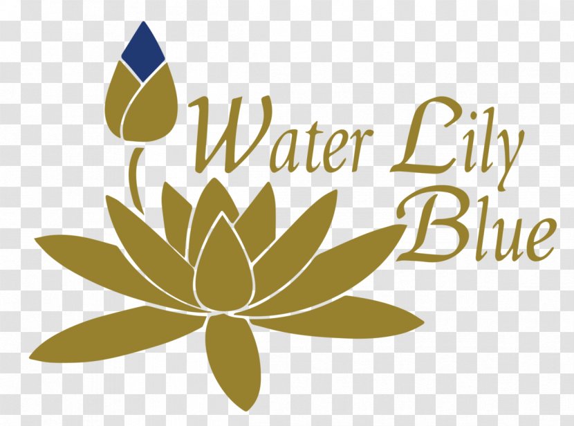 Lilium Water Lilies - Royaltyfree Transparent PNG
