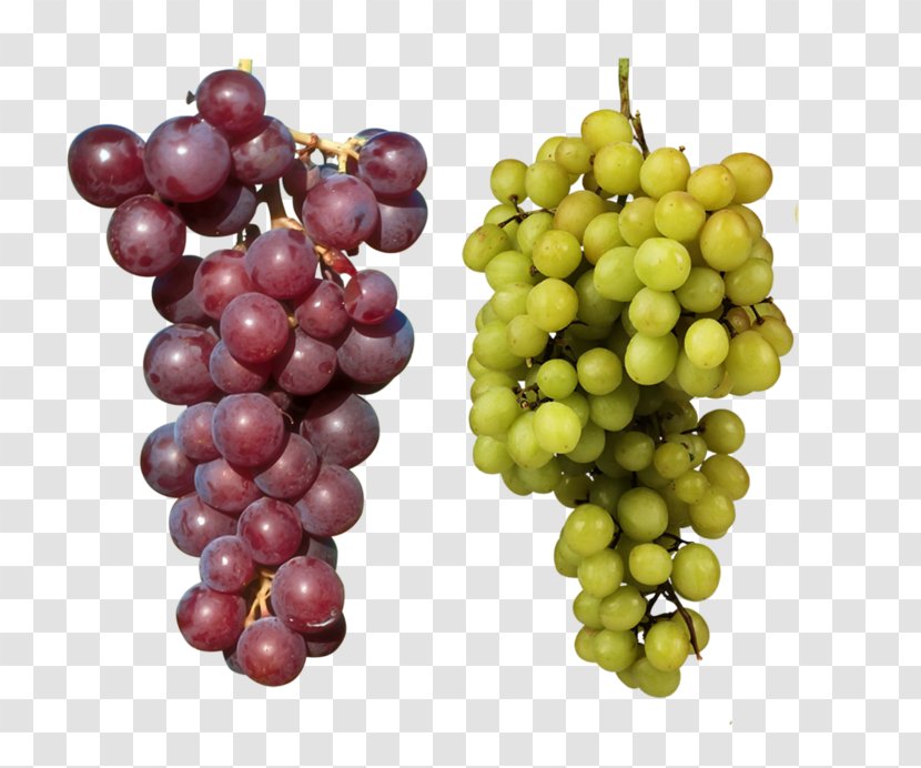 Fruit Download - Vitis - Purple Grapes And Green Transparent PNG