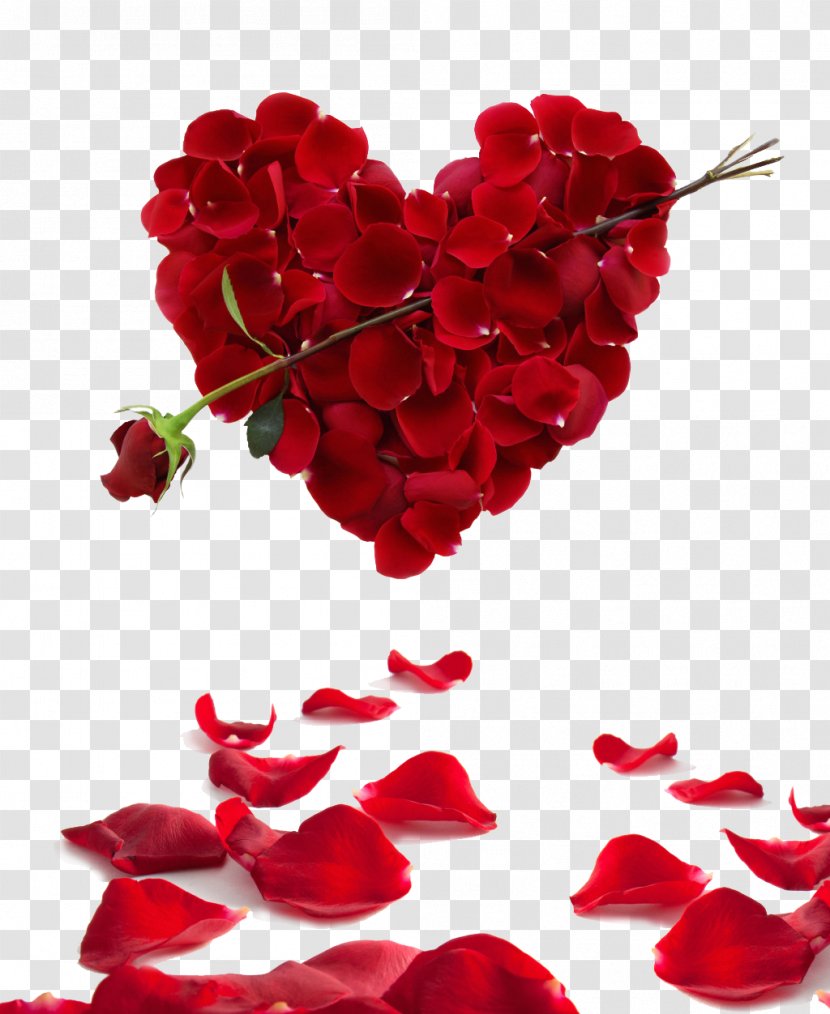 Rose Heart Flower Valentine's Day Wallpaper - Love Letter - Petal,Heart Transparent PNG