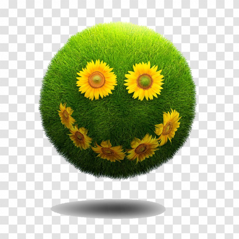 Smile Laughter Euclidean Vector - Flowerpot Transparent PNG