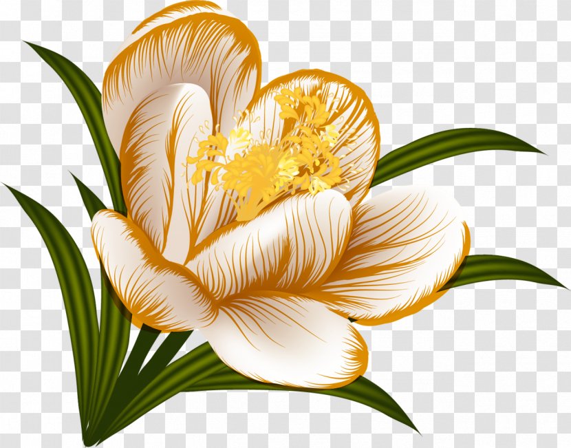 Garden Flower .de Clip Art - Knuddels - Crocus Transparent PNG