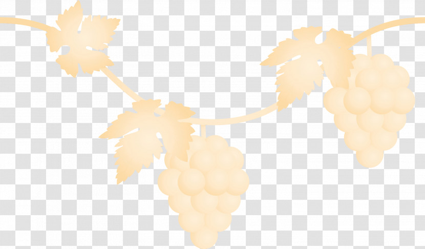 Leaf Yellow Plant Vitis Beige Transparent PNG