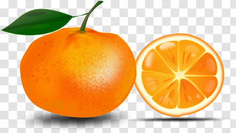 Orange Juice Clip Art - Valencia - Cliparts Transparent PNG