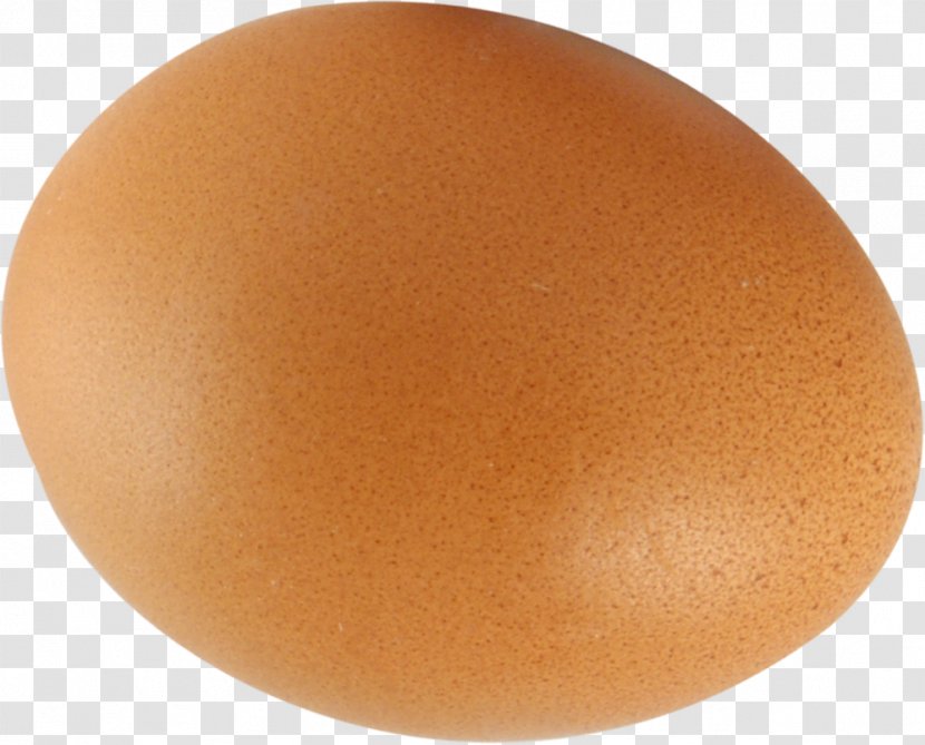 Chicken Egg Icon - Eggshell - Image Transparent PNG
