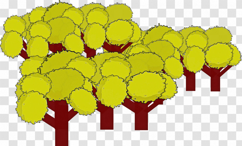 Yellow Plant Herbaceous Plant Transparent PNG