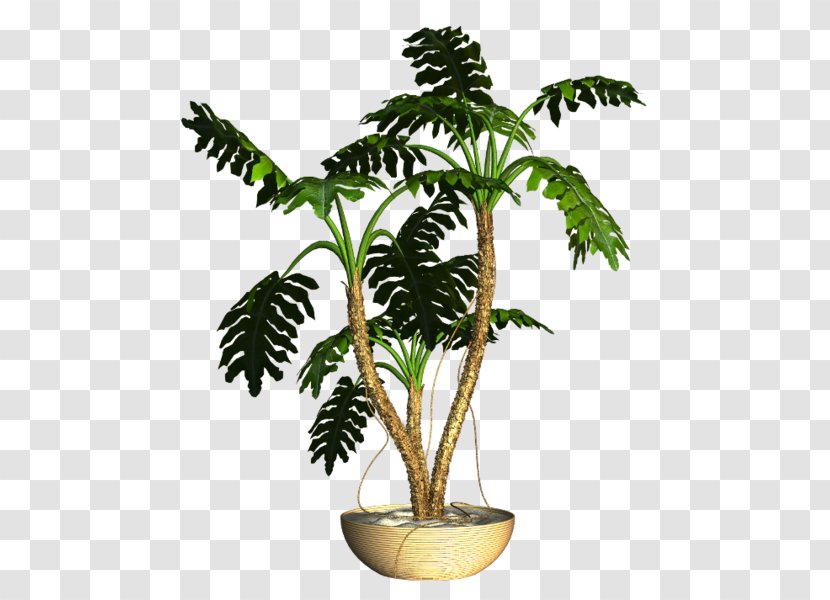 Asian Palmyra Palm Flowerpot Ornamental Plant Houseplant - Flower Transparent PNG