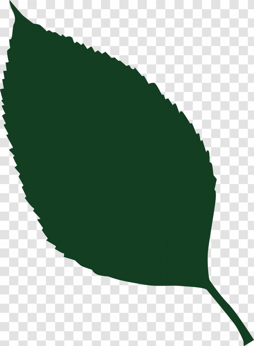 Leaf Transparent PNG
