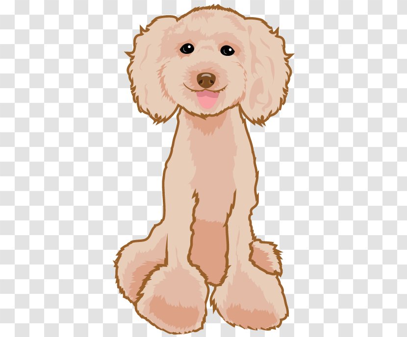 Dog Breed Puppy Poodle Companion - Photography Transparent PNG