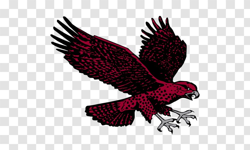 University Of Maryland Eastern Shore Hawks Men's Basketball Mascot Eagle Transparent PNG