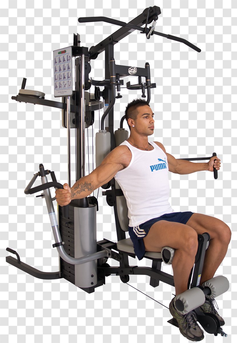 Fitness Centre Physical Exercise Elliptical Trainers - Cartoon - Watercolor Transparent PNG