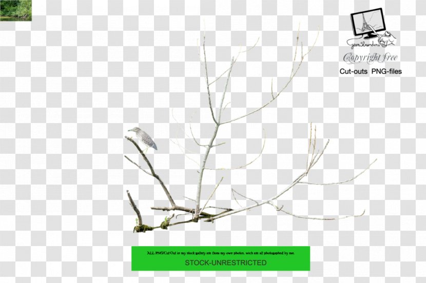 DeviantArt - Grass - Tree Transparent PNG