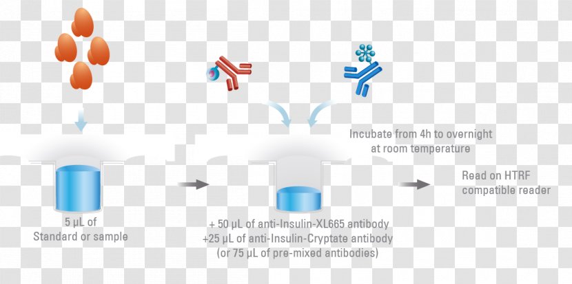 Insulin Resistance ELISA Assay Glucagon - Glucagonlike Peptide1 - Islets Of Langerhans Transparent PNG