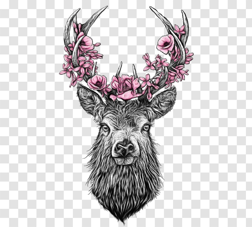 Head Horn Antler Drawing Deer Transparent PNG