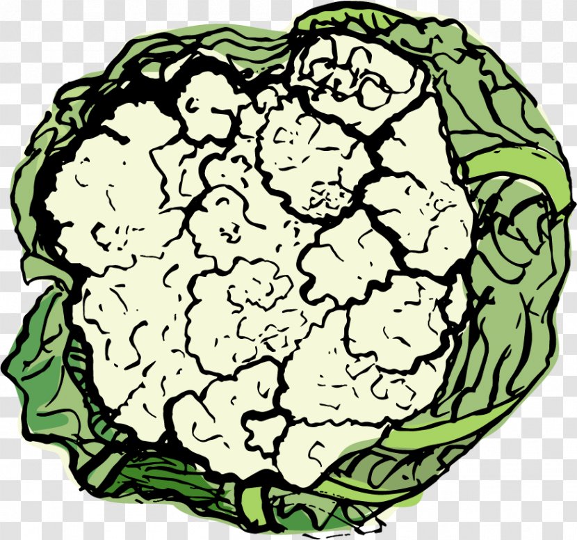Food Leaf Vegetable Spring - Silhouette - Cauliflower Transparent PNG