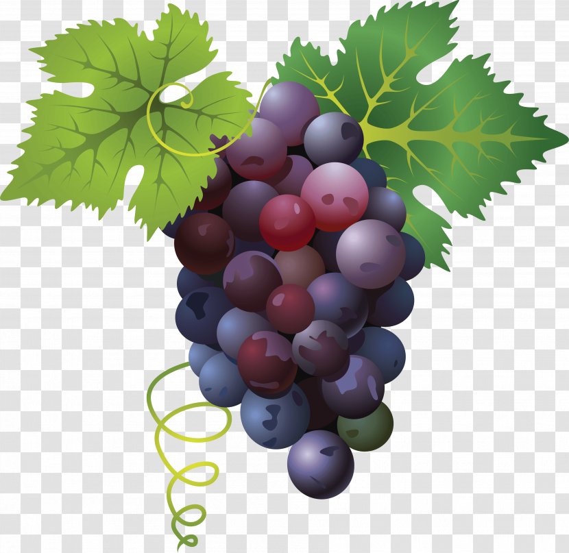 Divertimento Fruit - Juice - Grape Image Transparent PNG