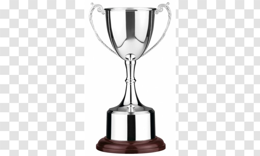 Cricket World Cup Trophy Award - Competition Transparent PNG