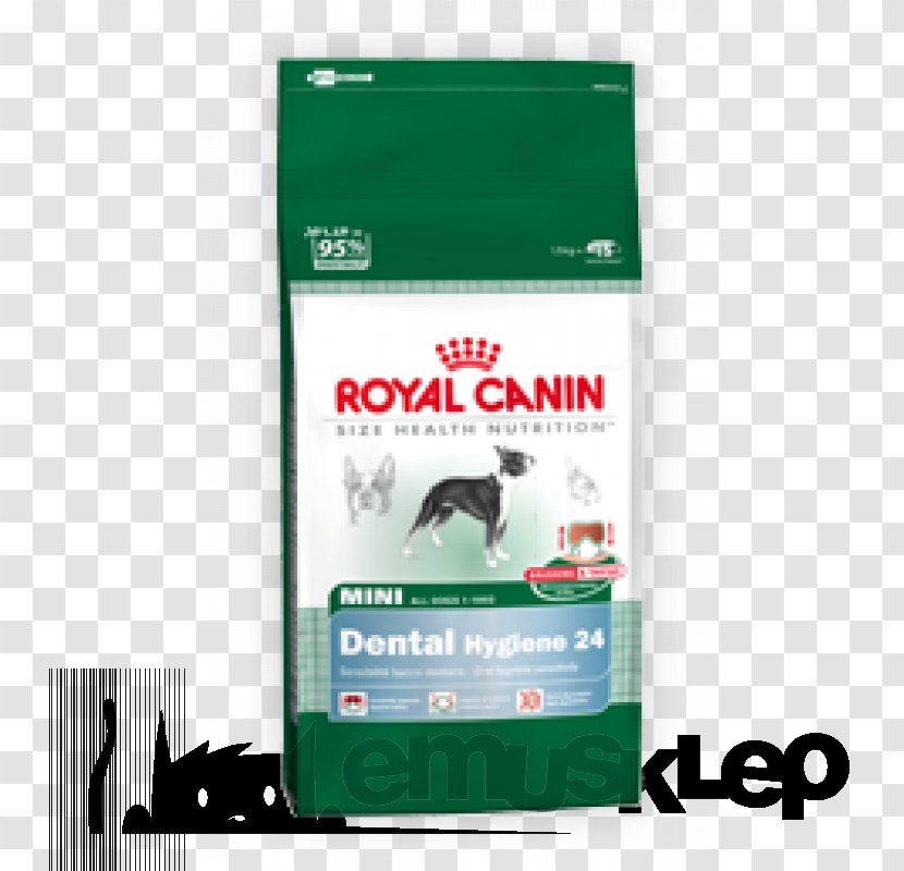 Golden Retriever Cat Food Royal Canin Dog Pet - Canidae Transparent PNG