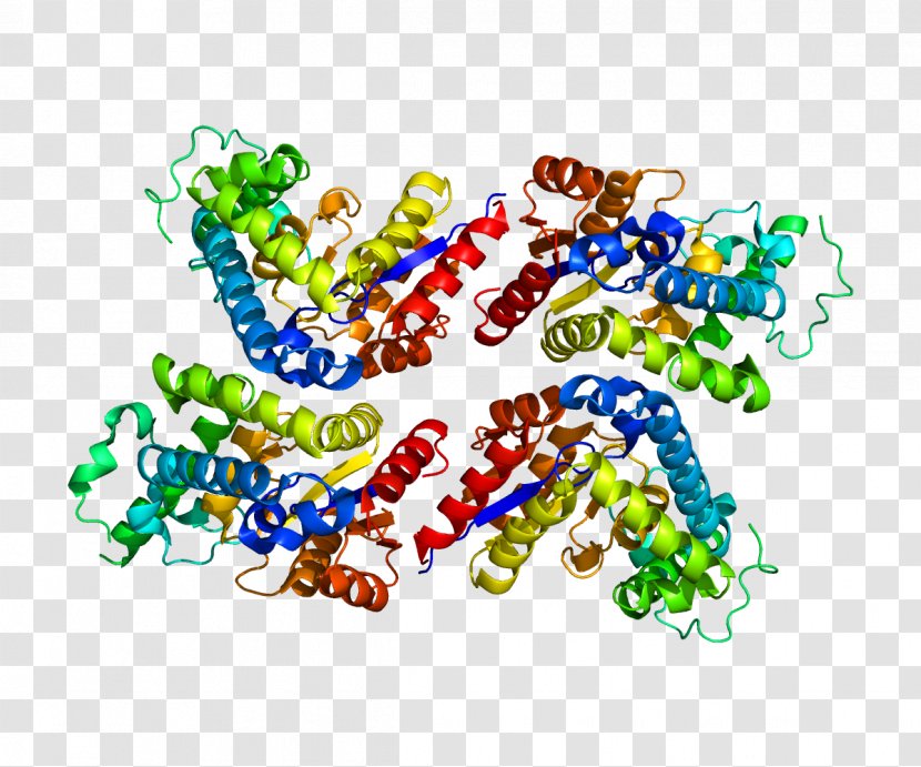 EYA2 Protein Family Genetic Code - Frame - Silhouette Transparent PNG