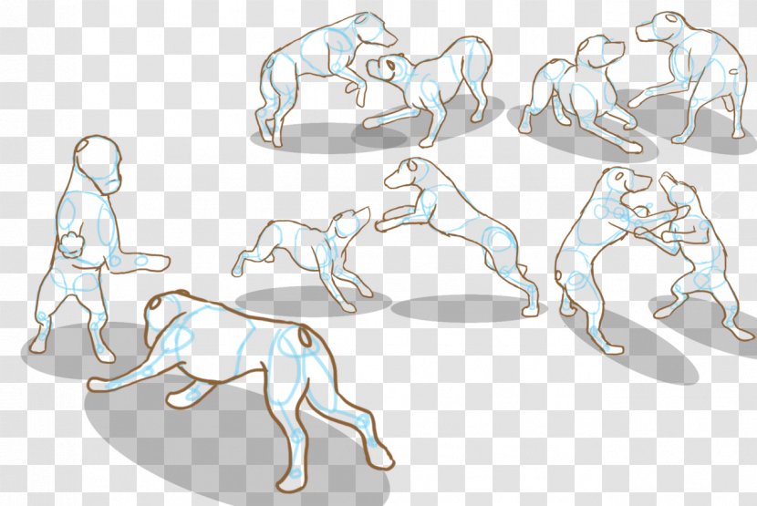 Canidae Pit Bull Basset Hound Dog Fighting Beagle - Wing - Play Firecracker Puppy Transparent PNG