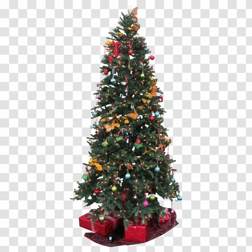 Norway Spruce Christmas Tree Lights - Fir Transparent PNG