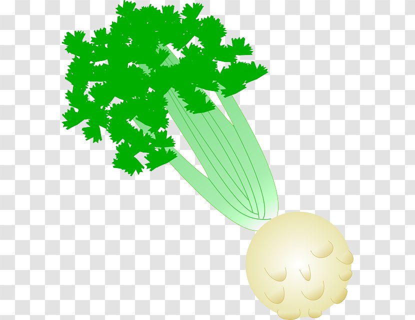 Celery Celeriac Clip Art - Leaf - Shading Vegetables Transparent PNG