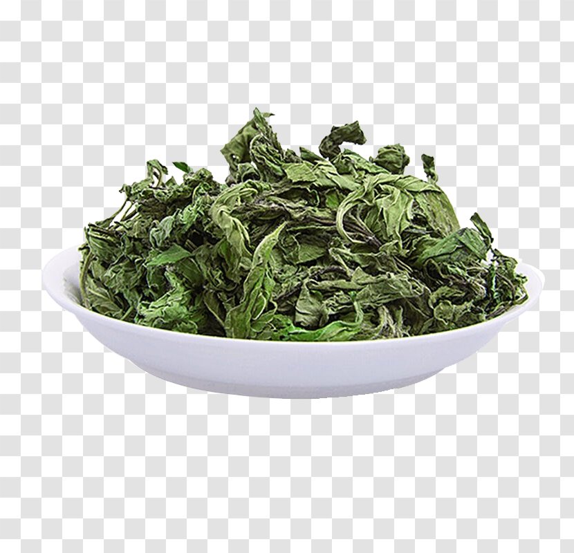 Maghrebi Mint Tea Mentha Spicata Arvensis Peppermint - Green Transparent PNG