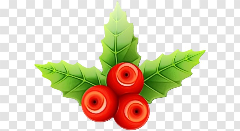 Christmas Poinsettia - Day - Vegetable Plant Transparent PNG