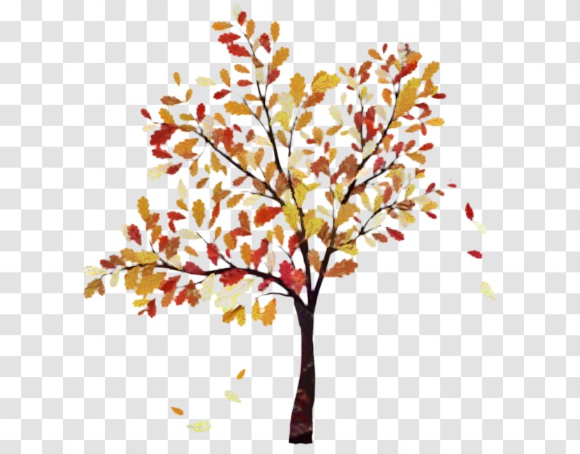 Fall Tree Vector Graphics Oak Clip Art - Plant Stem Transparent PNG