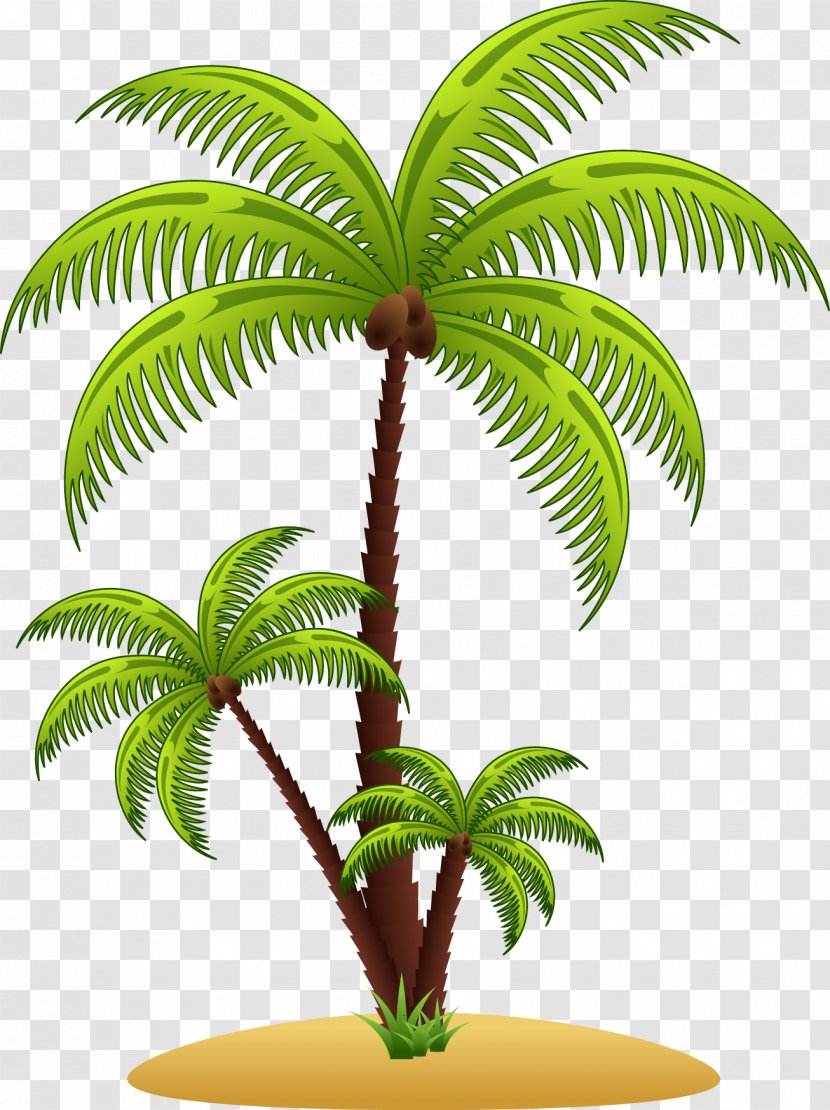 Arecaceae Euclidean Vector Clip Art - Palm Tree Transparent PNG