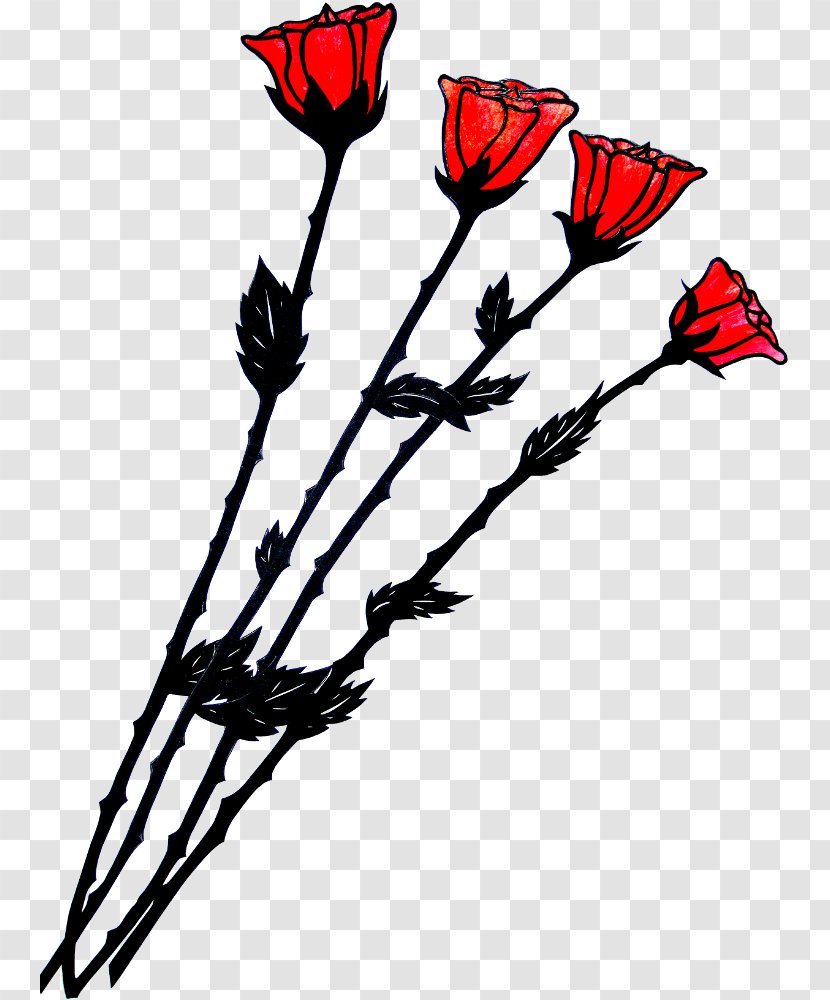 Red Rose Drawing White Color Transparent PNG
