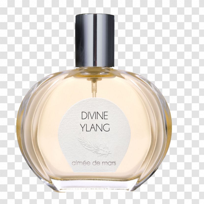 Perfume Aimée De Mars DIVINE YLANG Eau Parfum 50ml - Siège Ylang-ylangOrigin Ylang Essential Oil Transparent PNG