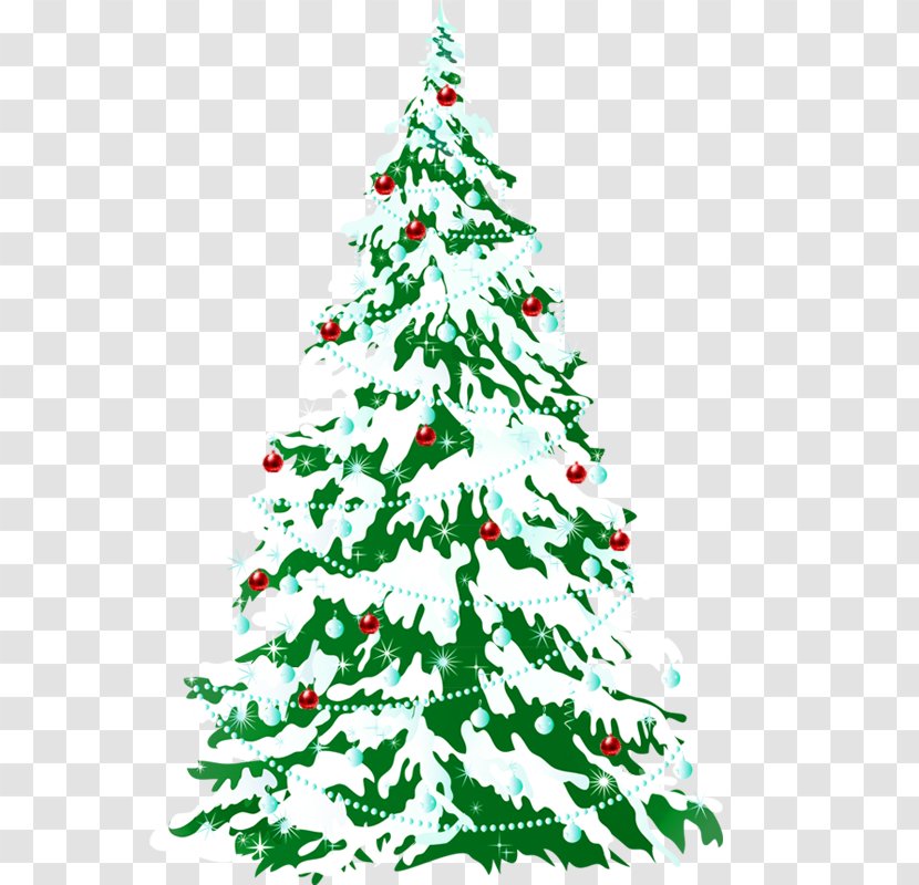 Snowman Christmas Desktop Wallpaper - Pine Family - Tree Transparent PNG