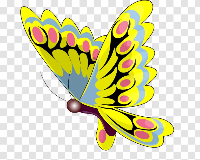 Clip Art Drawing Image Blog - Butterfly - X15 Pennant Transparent PNG